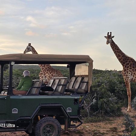 Valley Bushveld Country Lodge Addo Eksteriør billede