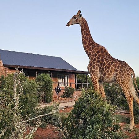 Valley Bushveld Country Lodge Addo Eksteriør billede