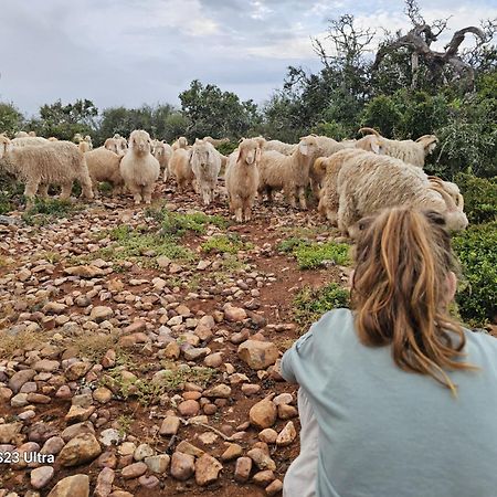 Valley Bushveld Country Lodge Addo Eksteriør billede