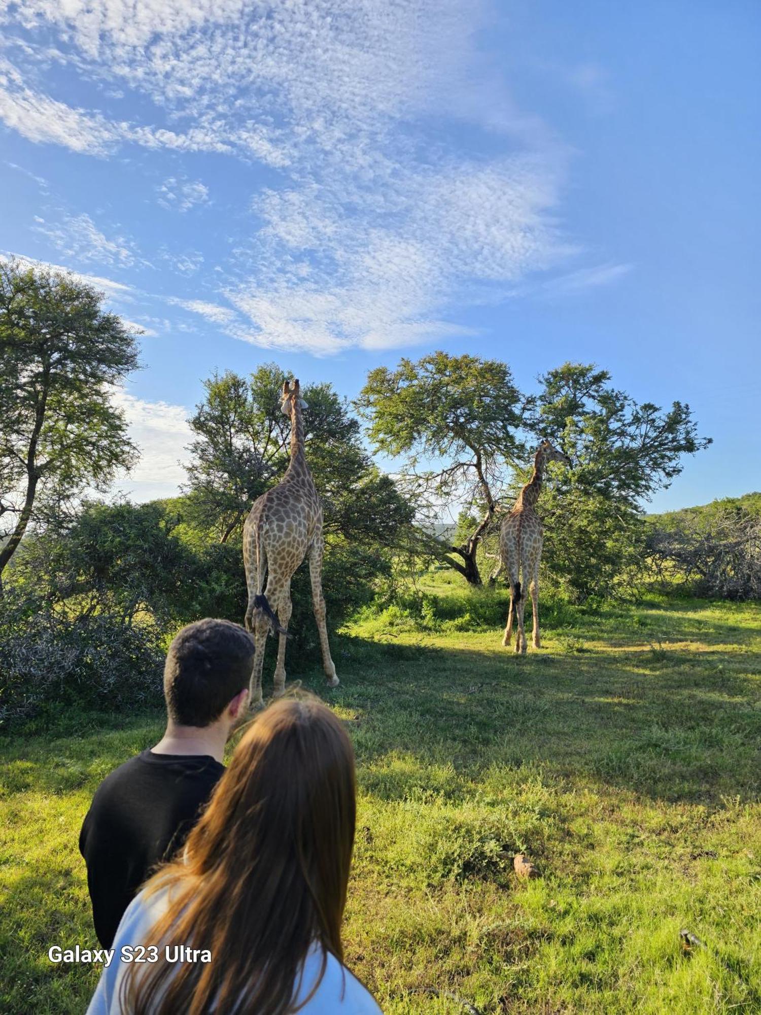 Valley Bushveld Country Lodge Addo Eksteriør billede