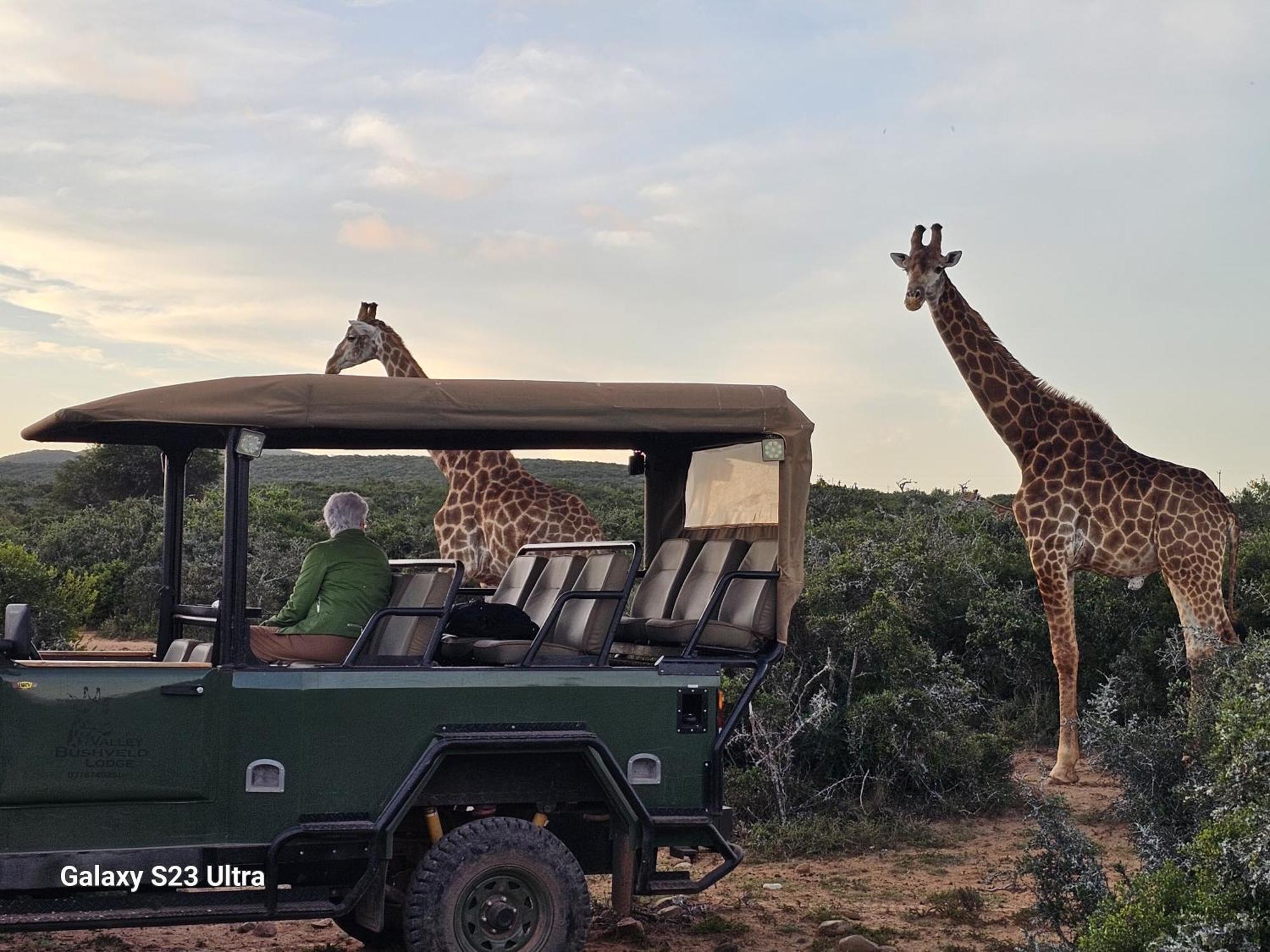 Valley Bushveld Country Lodge Addo Eksteriør billede