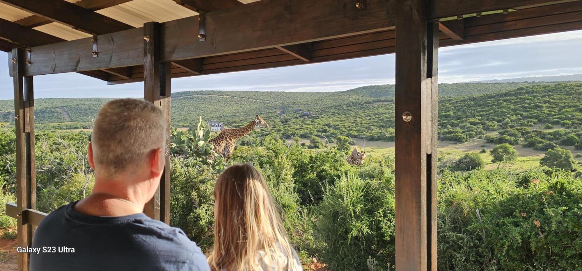 Valley Bushveld Country Lodge Addo Eksteriør billede