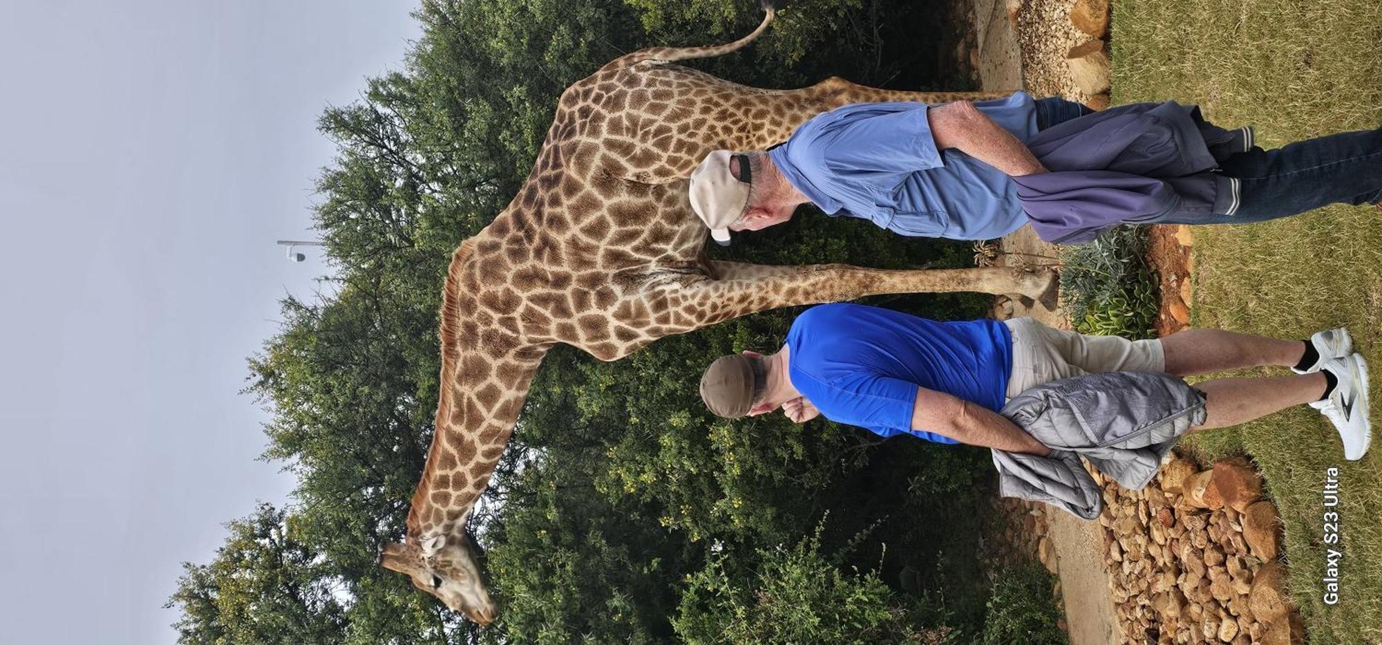 Valley Bushveld Country Lodge Addo Eksteriør billede