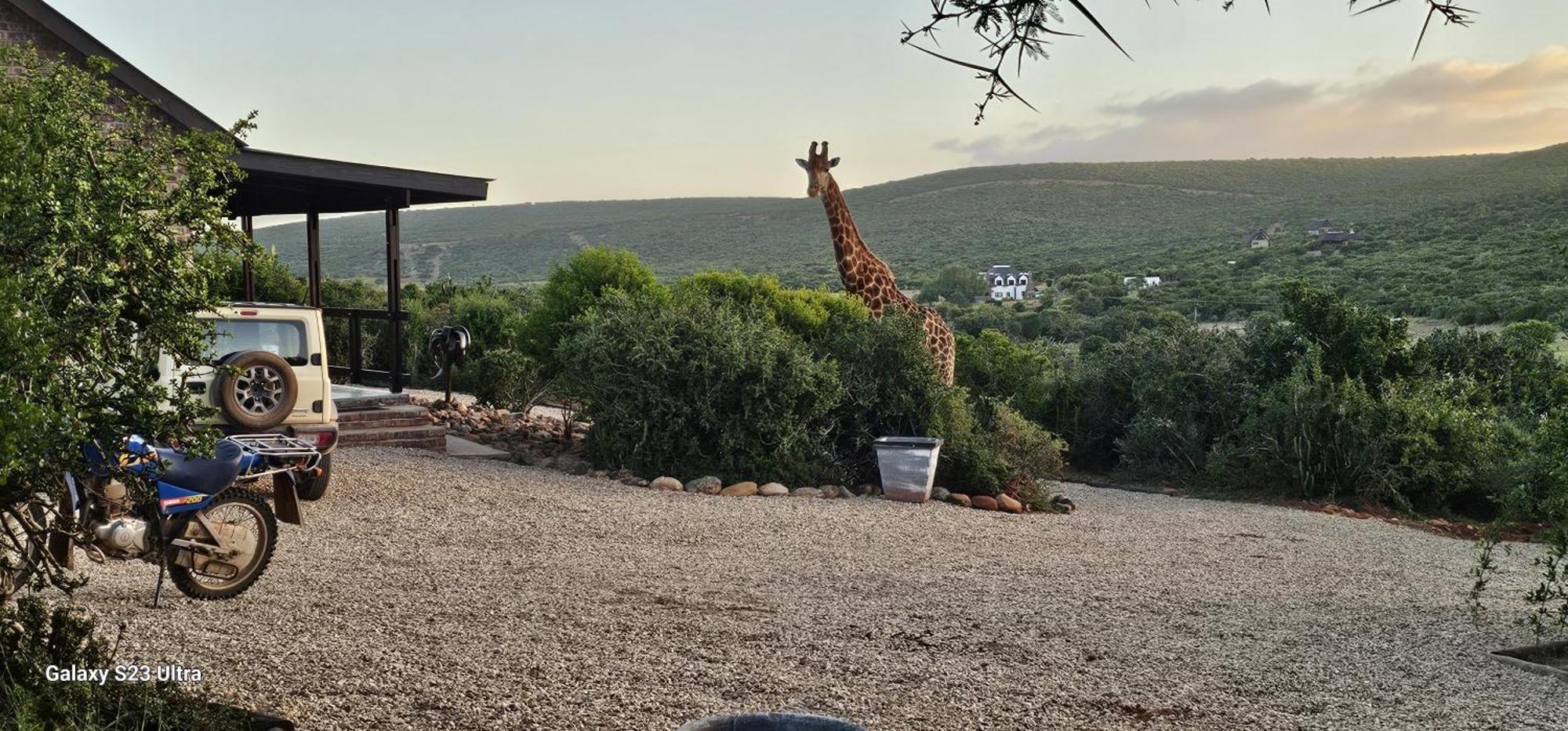 Valley Bushveld Country Lodge Addo Eksteriør billede