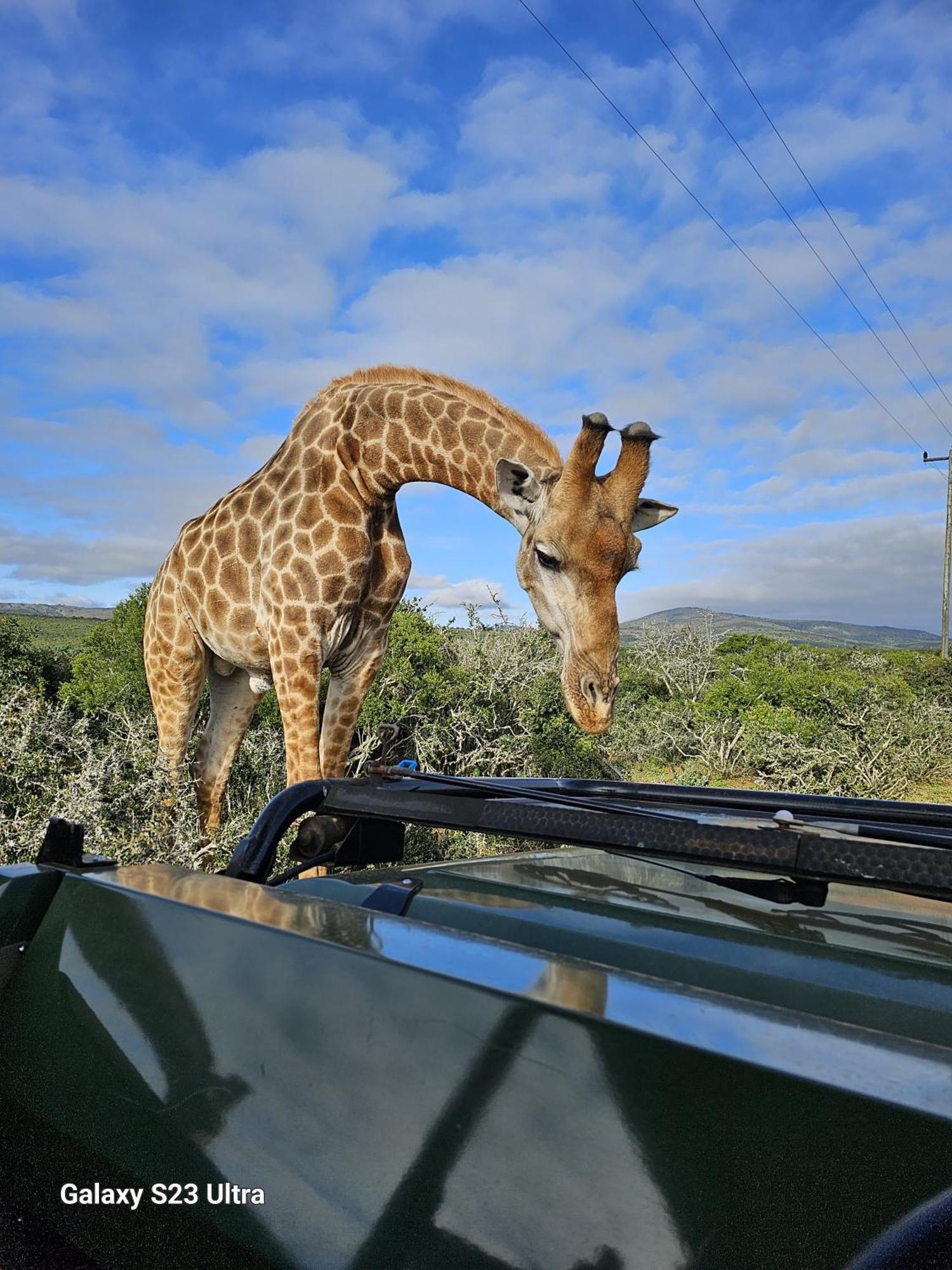 Valley Bushveld Country Lodge Addo Eksteriør billede