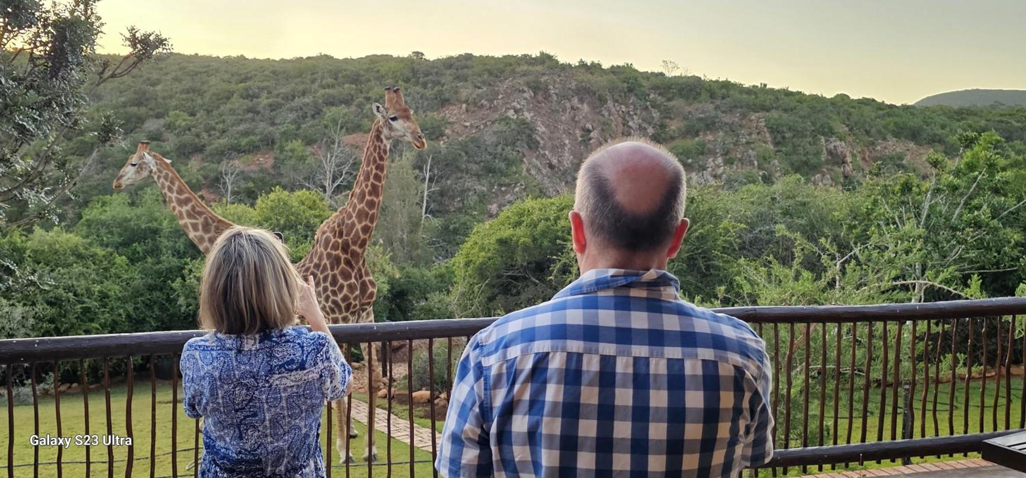 Valley Bushveld Country Lodge Addo Eksteriør billede