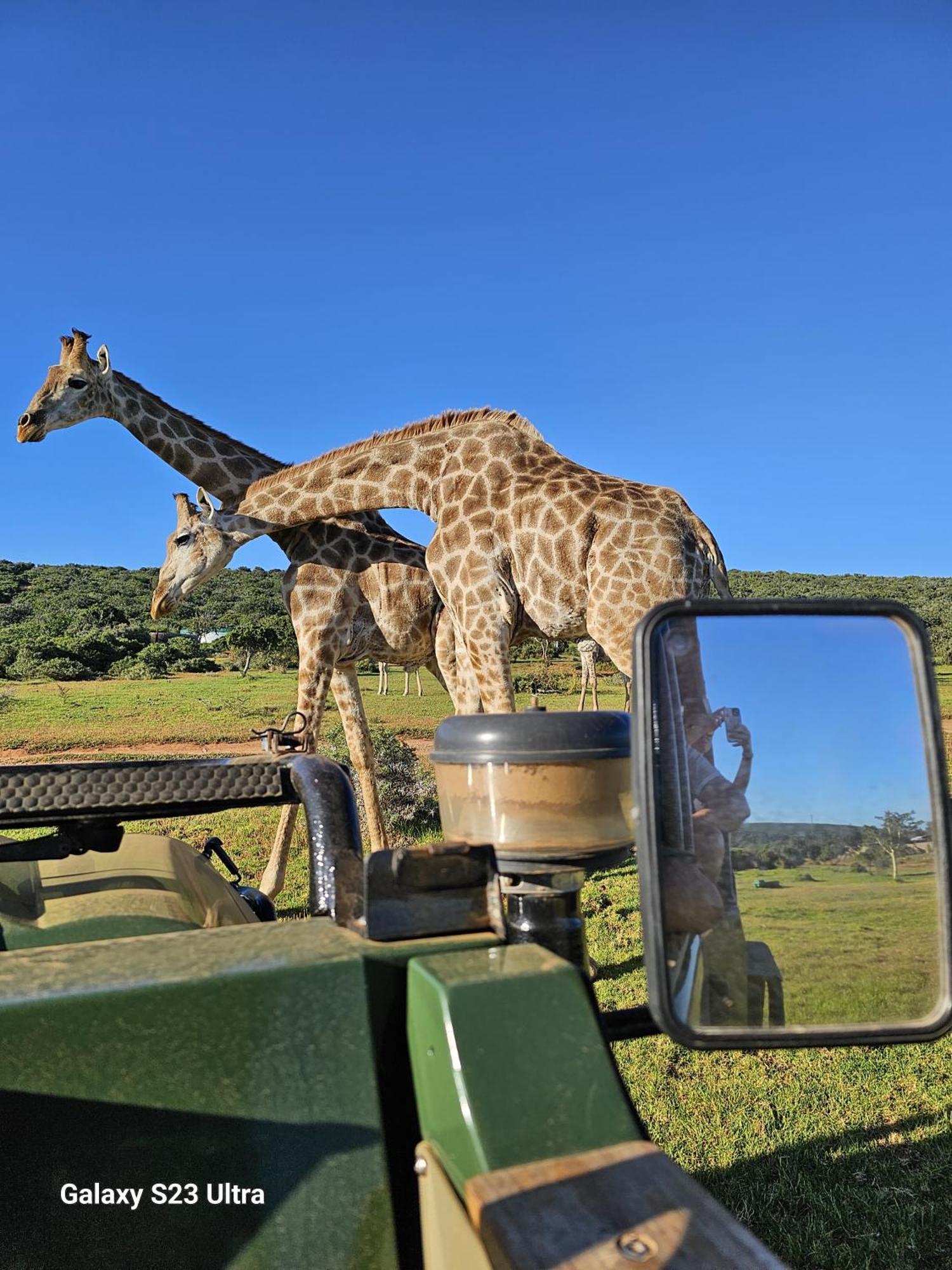 Valley Bushveld Country Lodge Addo Eksteriør billede