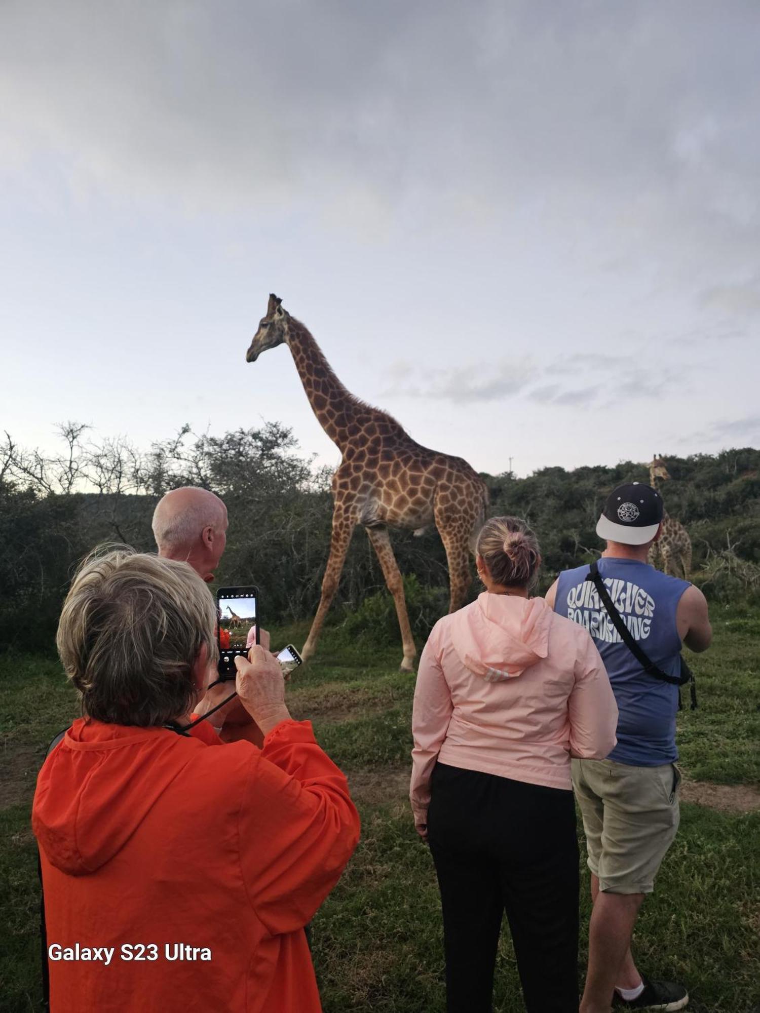 Valley Bushveld Country Lodge Addo Eksteriør billede