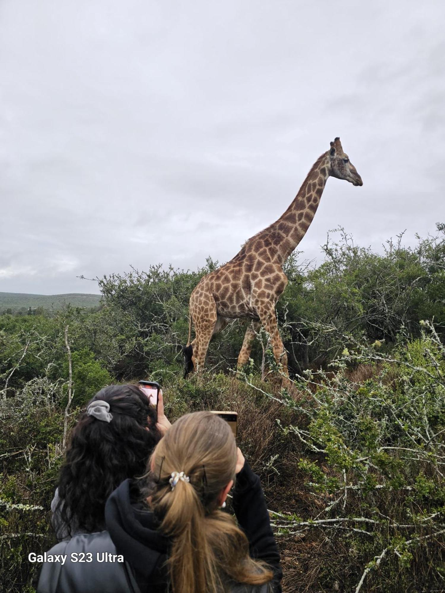 Valley Bushveld Country Lodge Addo Eksteriør billede